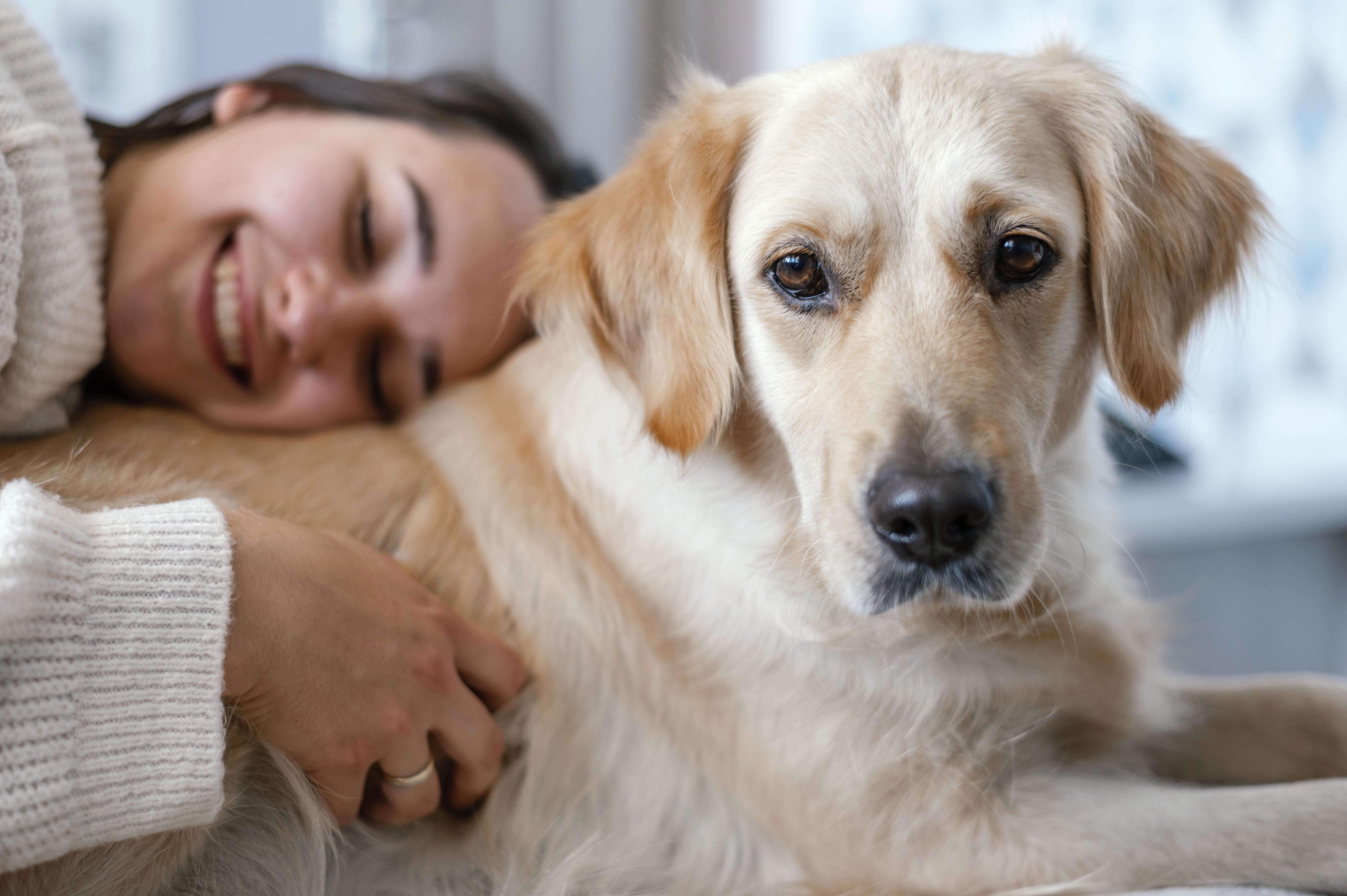 Animal Mediation